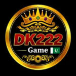 DK222 Game