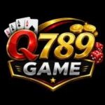 Q789 Game