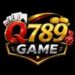 Q789 Game