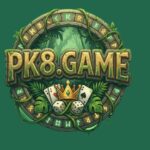 PK8 Game logo