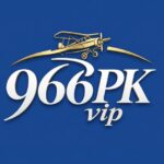 966PK Game logo