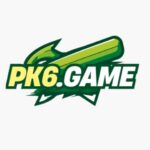 PK6 Game logo